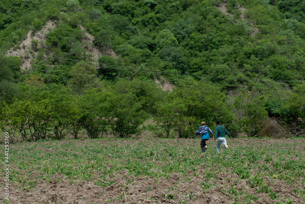 Niños latinos jugando en campo