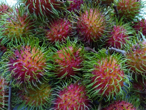 rambutan, edible fruits close-up view