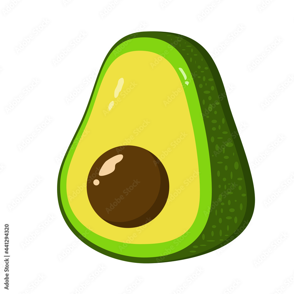 Realistic vector avocado illustration. Cut avocado isolated on white background. Realistic vector avocado illustration. Cut avocado isolated on white background.