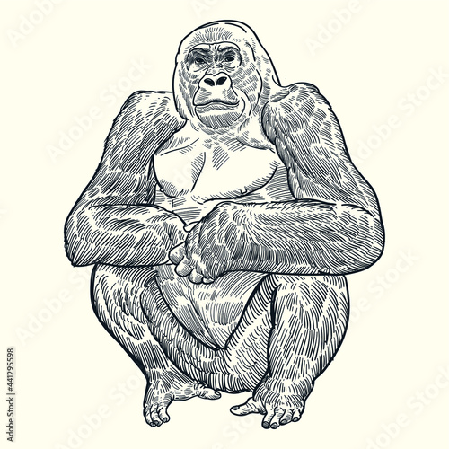 Vintage hand drawn gorilla