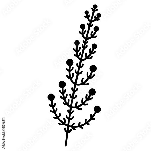 Vector icon branch with leaves and berries. Hand-drawn botanical element. Doodle isolated on white background. Plant outline. Silhouette of wild grass. Flat style, monochrome.