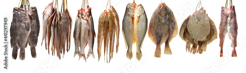 Fresh fish on white background  photo