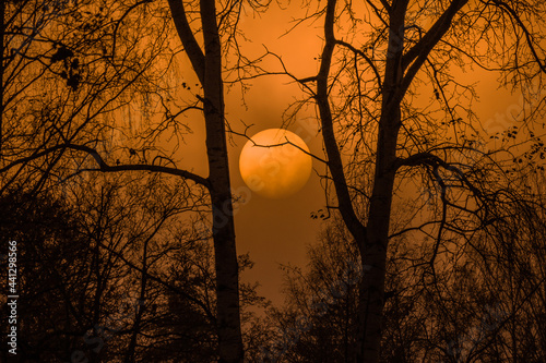 the sun in a thick fog