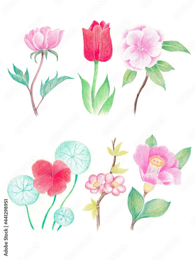 These flowers were hand-drawn with colored pencils onto paper.