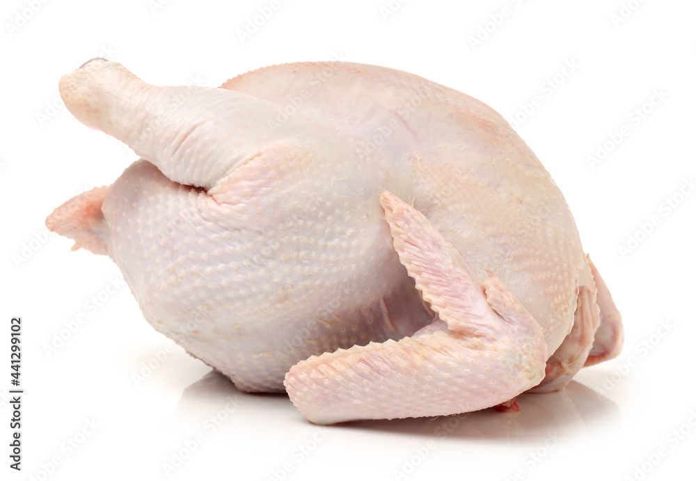 raw hen on a white background raw hen on a white background