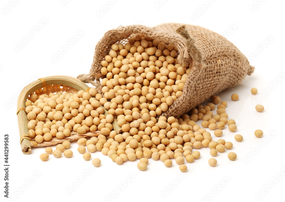 Fototapeta premium gold soybean isolated on white background