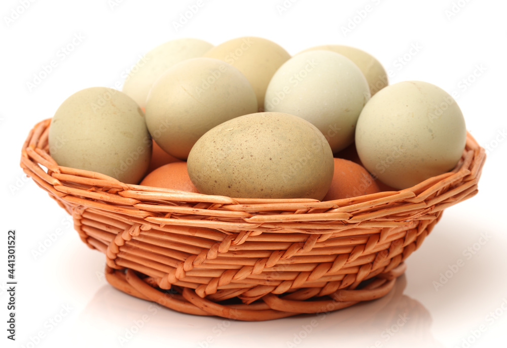 eggs on a white background eggs on a white background