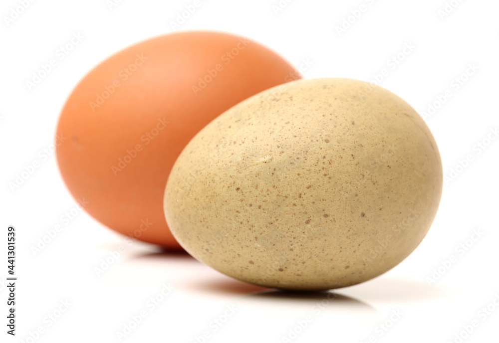 Egg collection isolated on white background Egg collection isolated on white background