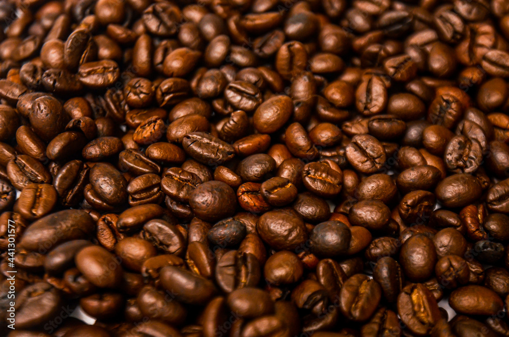 coffee beans on the background white and black. coffee beans on the background white and black.