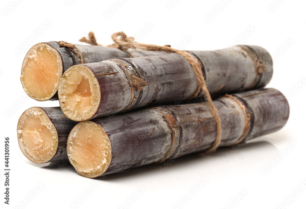 Sugar cane isolated on white background