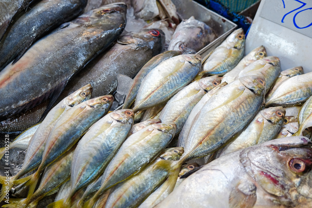 Obraz premium Various sea fish sell on ice in fresh fishery market