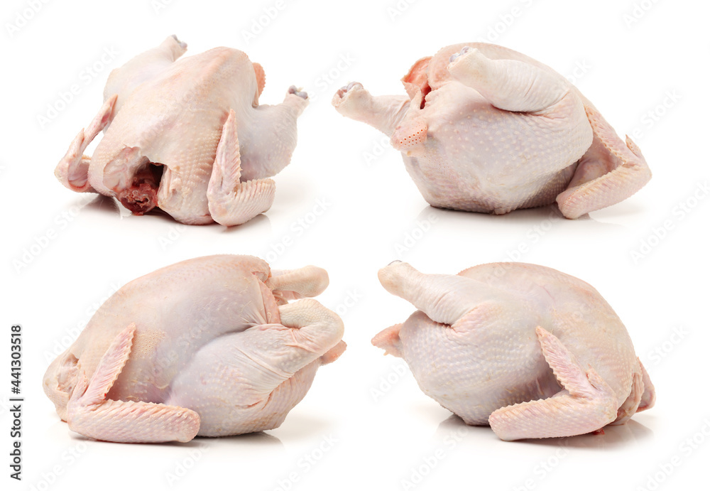 raw hen on a white background raw hen on a white background