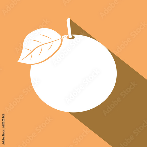 illustration of an orange with a slice