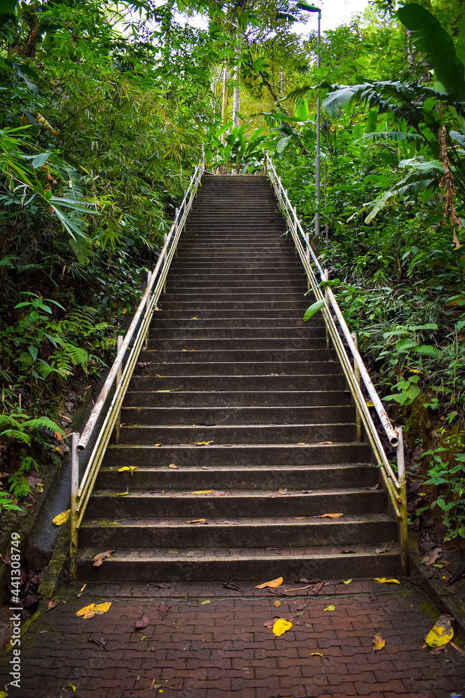 Concrete stairs in the middle of nature Concrete stairs in the middle of nature