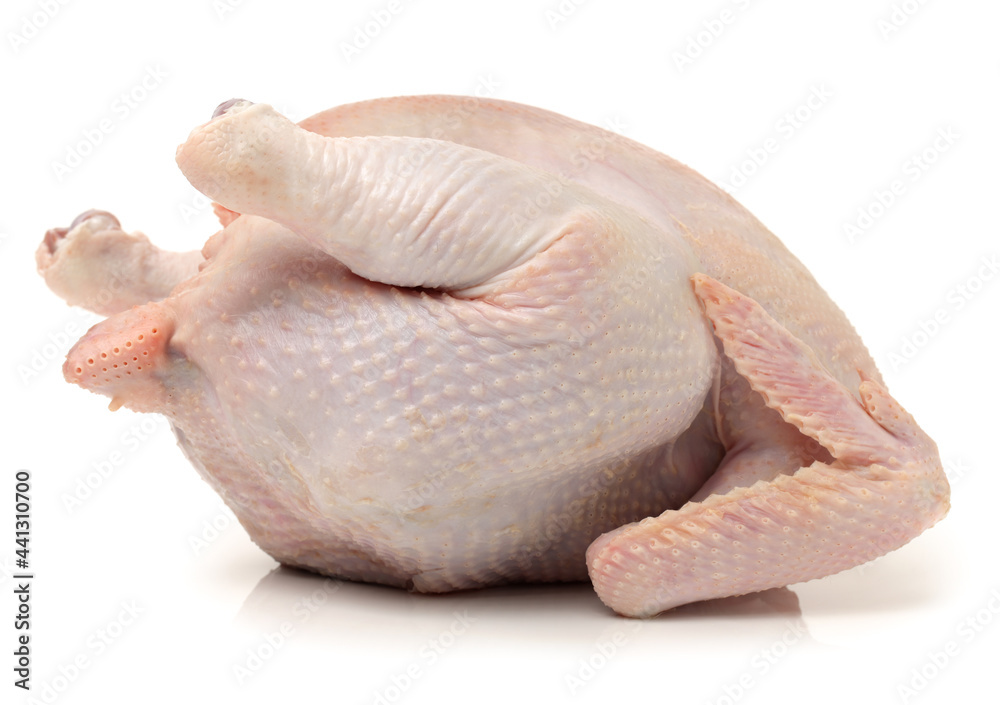 raw hen on a white background raw hen on a white background