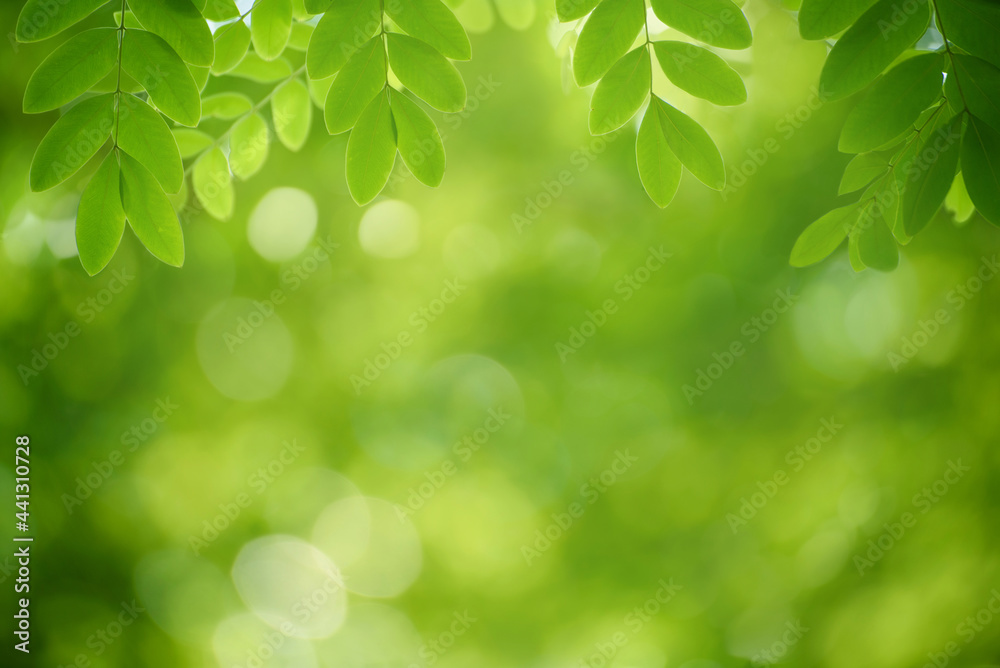 Green leaf for nature on blurred background. Green leaf for nature on blurred background.