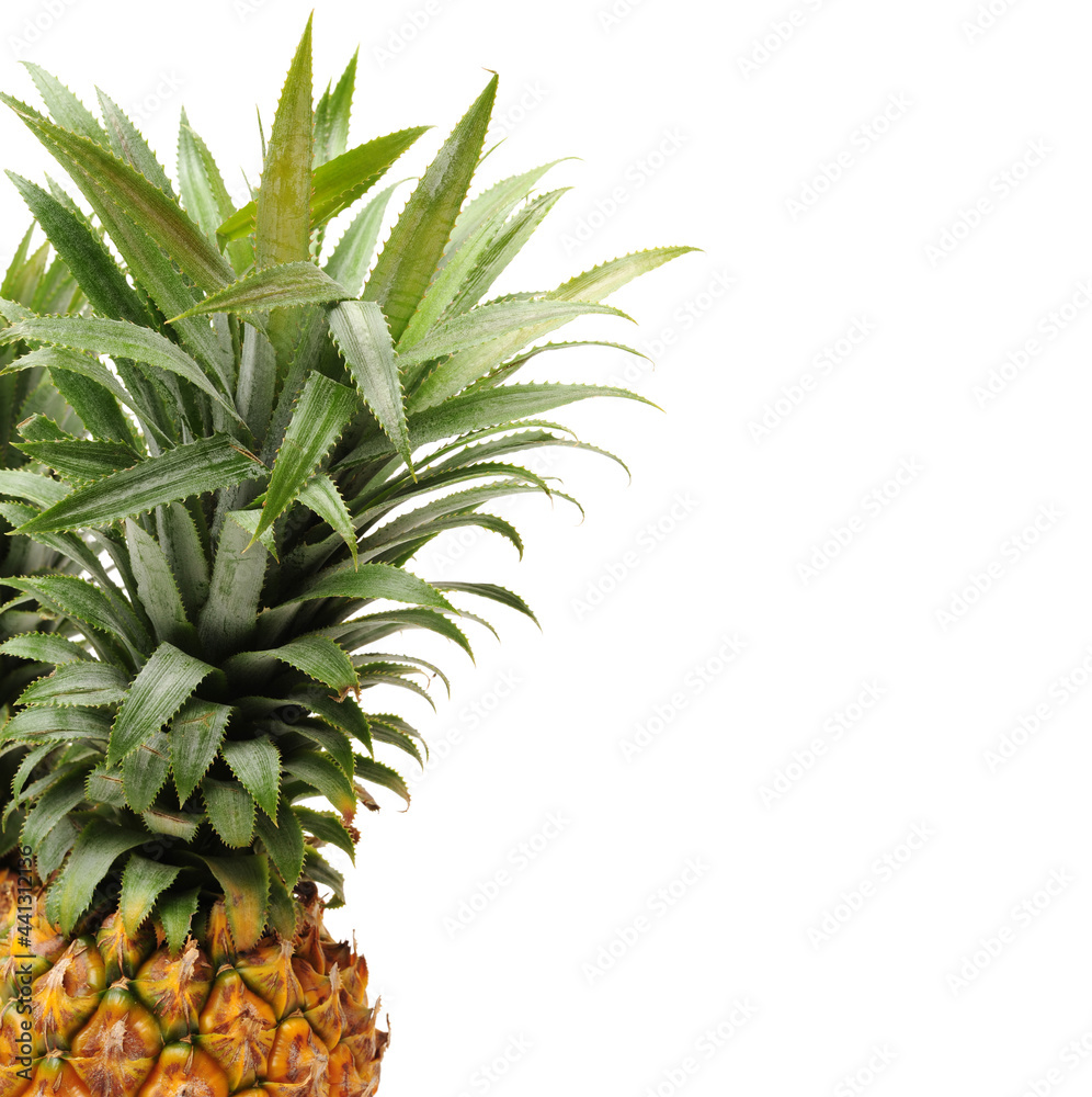 Fototapeta premium Pineapple on white background 