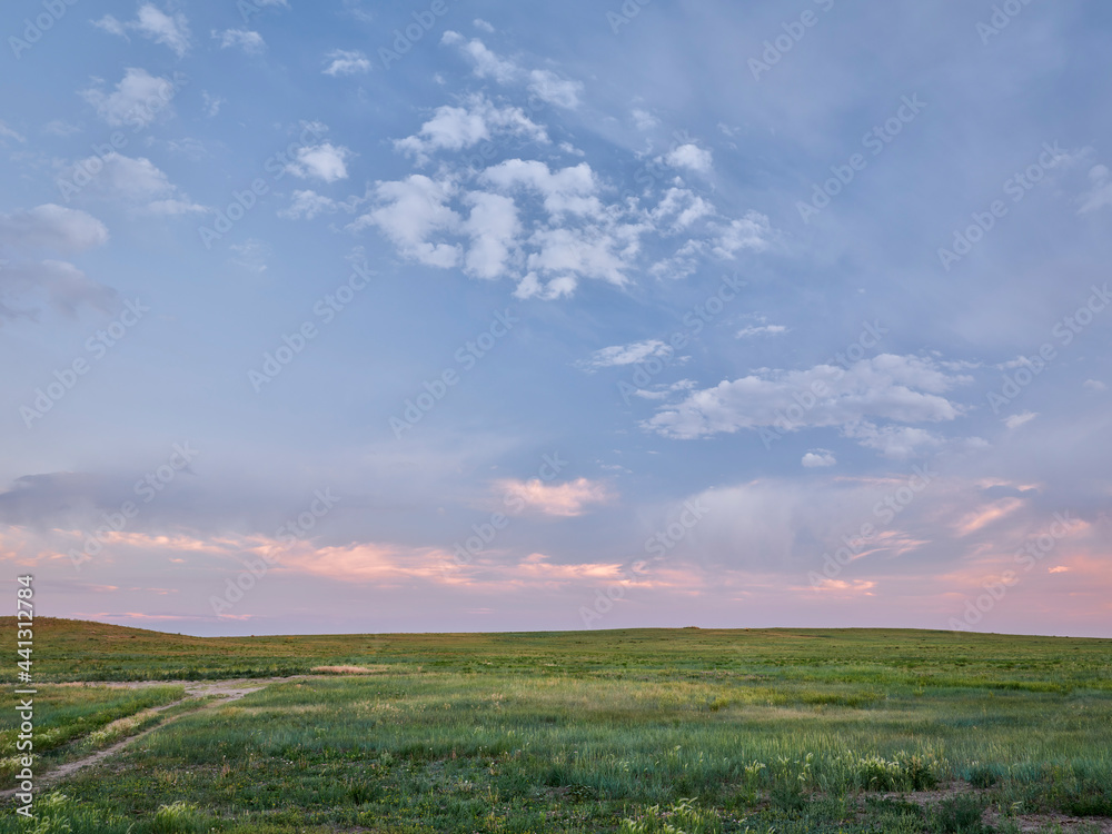 dusk over green prairie - Pawnee National Grassland in Colorado, late spring or early summer scenery