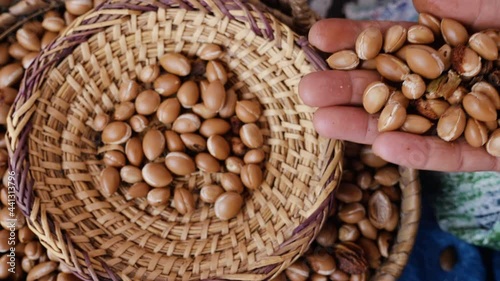Argan nuts in a basket. The Argan kernels from the nuts are used to produce the famous Argan oil. photo