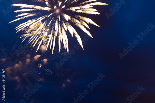 Fireworks in the night sky. Independence Day  4th of July  Fourth of July or New Year