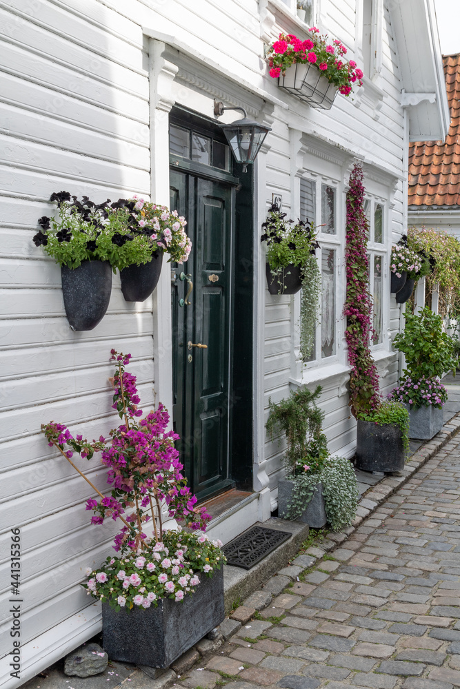 Naklejka premium Schöne Fassade