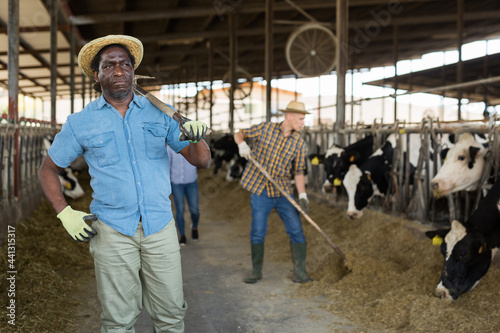 Portrait of a focused african american man standing on a cattle farm with a shovel slung over his shoulder, looking ..into the distance