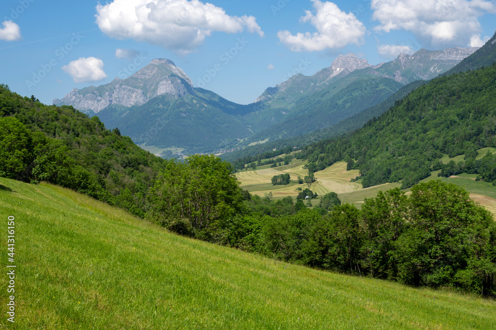 Paysage de printemps de la vallée Sainte Reine dans le Parc Naturel Régional des bauges en France, en Savoie dans les Alpes