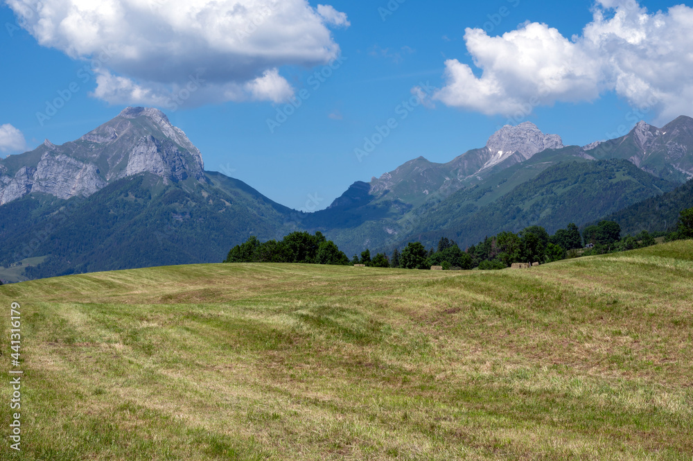 Paysage de printemps de la vallée Sainte Reine dans le Parc Naturel Régional des bauges en France, en Savoie dans les Alpes