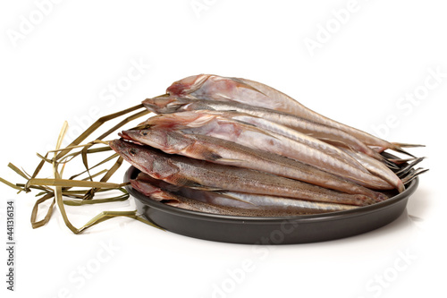 fresh flathead fish on white background photo