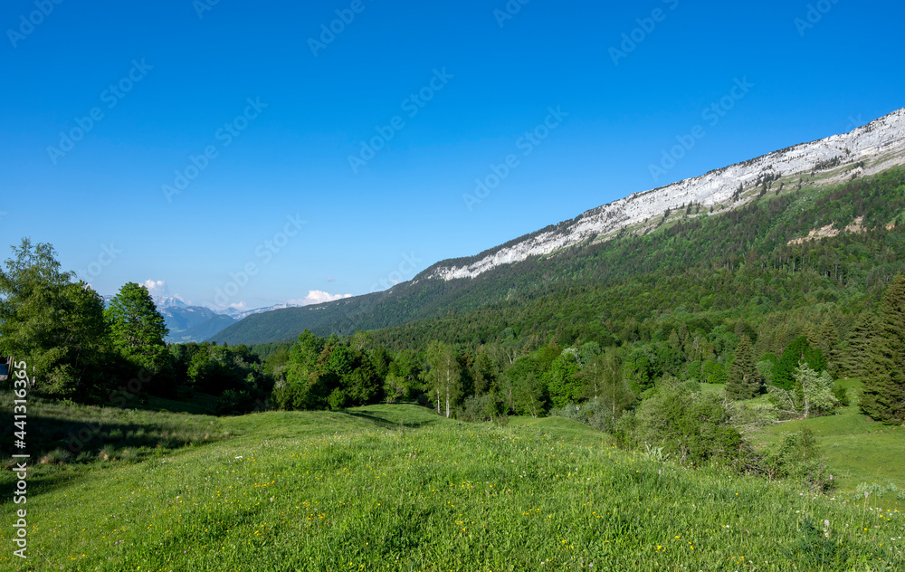 Paysages du Parc Naturel Régional des Bauges autour du col de Plainpalais en savoie dans les Alpes en france Paysages du Parc Naturel Régional des Bauges autour du col de Plainpalais en savoie dans les Alpes en france