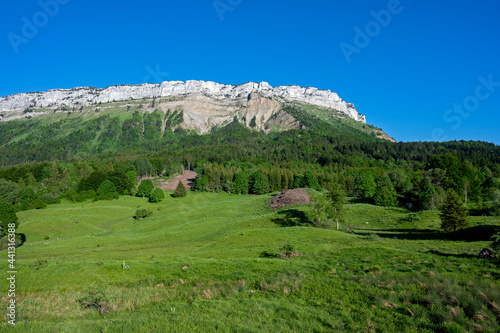 Paysages du Parc Naturel Régional des Bauges autour du col de Plainpalais en savoie dans les Alpes en france