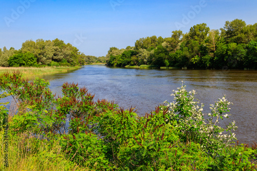Spring landscape with beautiful river, green trees and blue sky © olyasolodenko