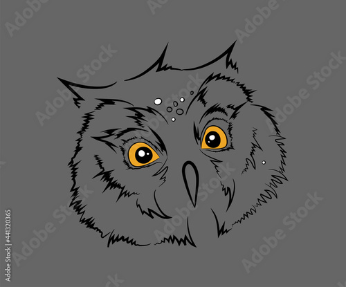 Fototapeta Naklejka Na Ścianę i Meble -  Vector Owl Head with white spots sketch line art illustration isolated on grey.  Funny suspicious owl with wide open eyes