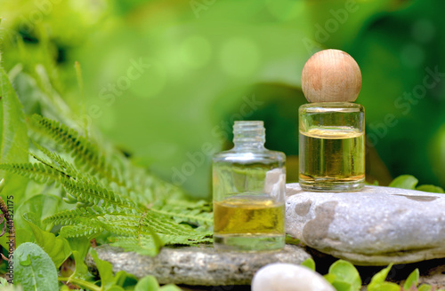 essential oil bottles on   stone in fern foliage