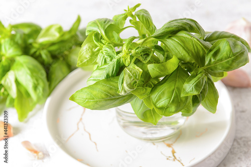 Tray with fresh basil leaves on light background