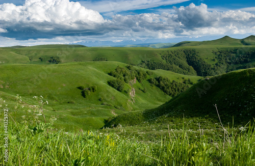 Green hills of the foothills of the Caucasus Mountains, mountain ranges are visible in the distance. Russia.