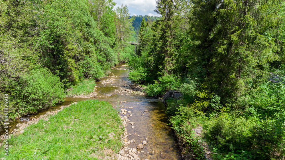 Creek called Czarna Wiselka. Source creek of the Vistula River. Creek called Czarna Wiselka. Source creek of the Vistula River.