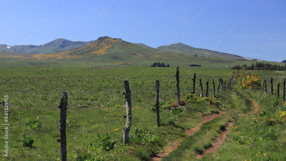 massif du Sancy, Auvergne