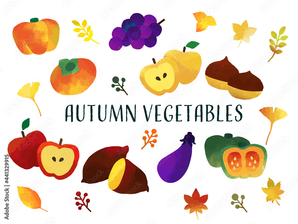 恵の秋の野菜と果物のベクターイラスト素材 リンゴ 栗 Stock Vector Adobe Stock
