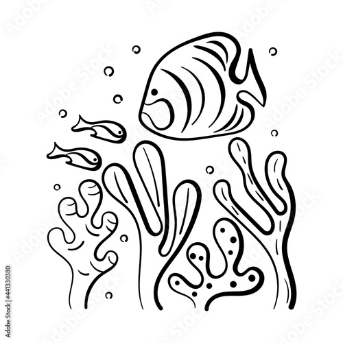 Fototapeta Naklejka Na Ścianę i Meble -  Coloring for children. Sea floor, underwater world. Hand drawn Fish and plants. Doodle of marine animals and seaweed isolated on a white background. Vector