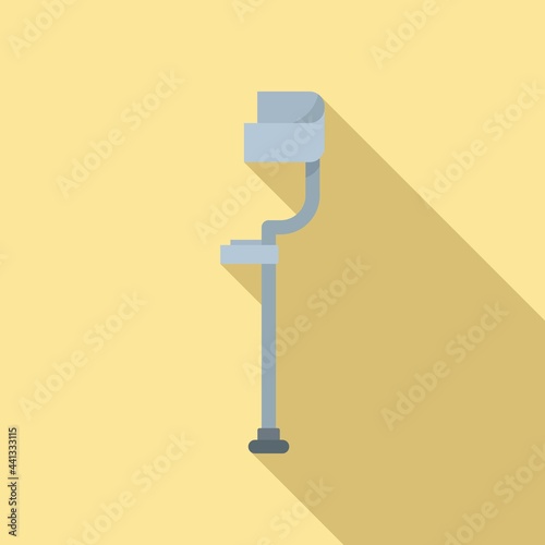 Crutches icon, flat style