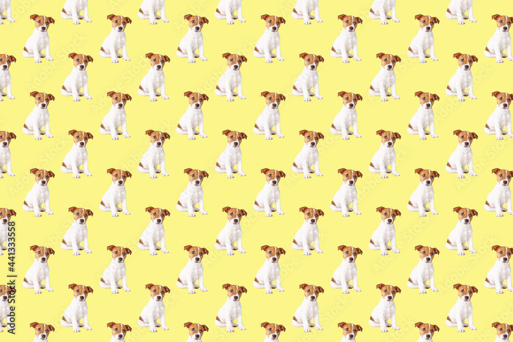 Puppy dog on yellow background. Seamless background with jack russell terrier dog Puppy dog on yellow background. Seamless background with jack russell terrier dog