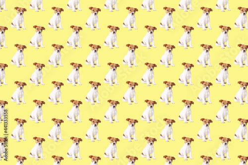 Puppy dog on yellow background. Seamless background with jack russell terrier dog