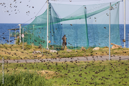 Large bird trap at the ornithological station in Lithuania located at cape Vente near Curonian lagoon .Birds catching in nets with purpose to follow their migration route.  photo