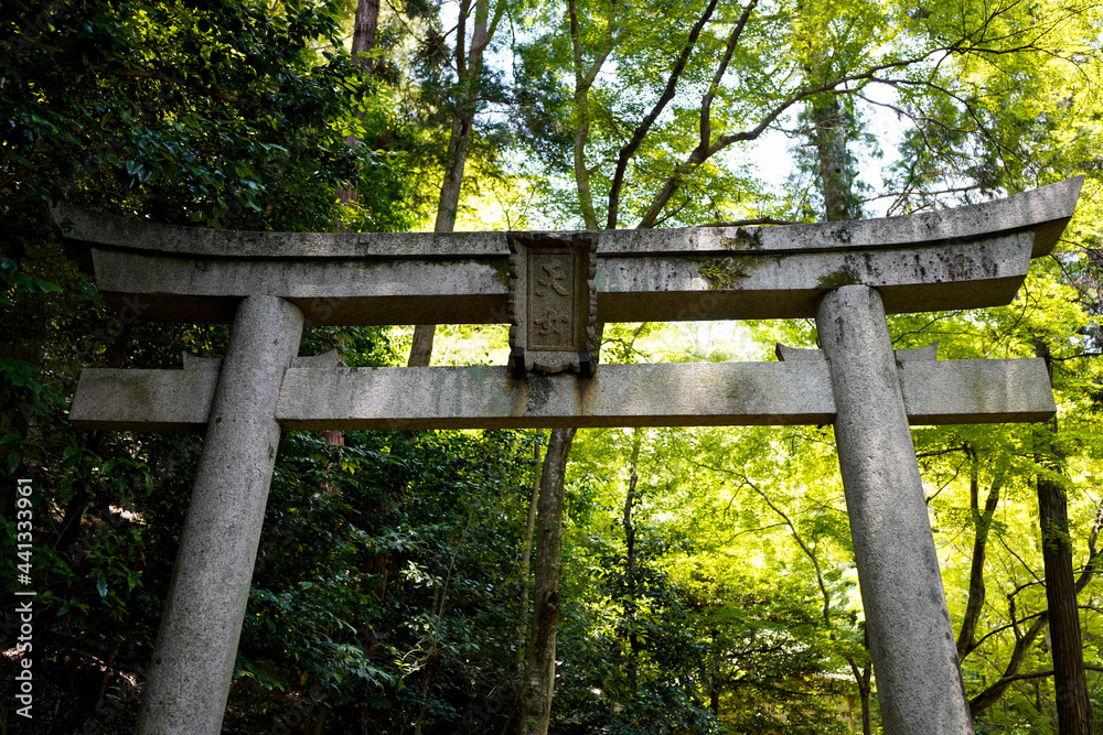 Adashino in Kyoto.