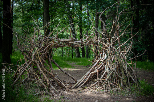 Gate built of dry branches in the middle of the forest