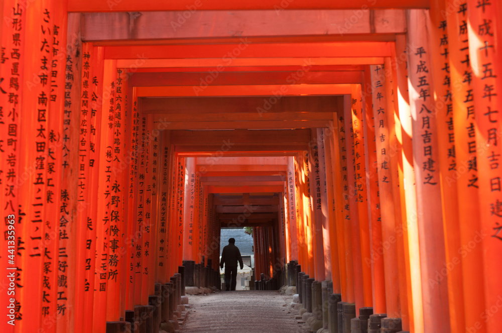 japan, kyoto, fushimi, kansai, travel, tori, shrine, tunnel, no people, buddhism, buddha, holidays, corridor, walk, sign, destination, background, attraction, famous, perspective, tradition, religious japan, kyoto, fushimi, kansai, travel, tori, shrine, tunnel, no people, buddhism, buddha, holidays, corridor, walk, sign, destination, background, attraction, famous, perspective, tradition, religious