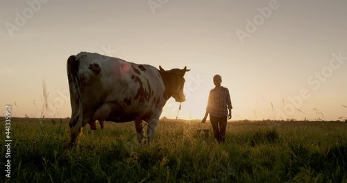 A female farmer walks with a bucket to her cow at sunset. Small agribusiness concept photo