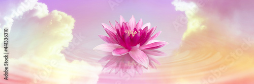 Floating beautiful lotus and reflection of sky with fluffy clouds on water  toned in pastel rainbow colors. Symbolic flower in Buddhism