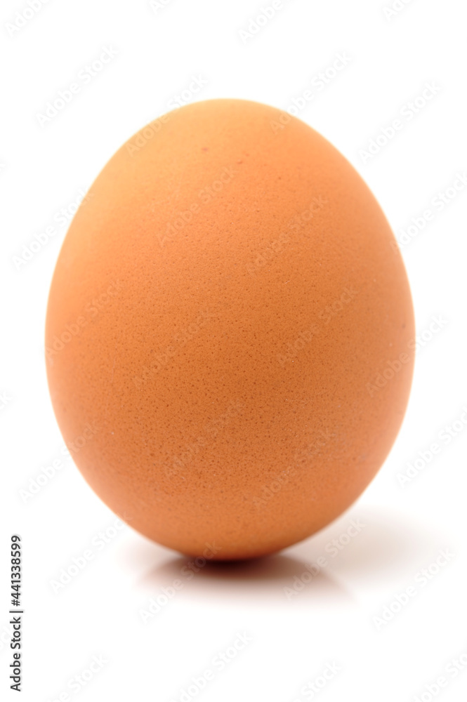 eggs on a white background